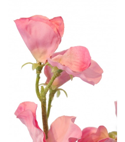 Pois de senteur artificiel rose