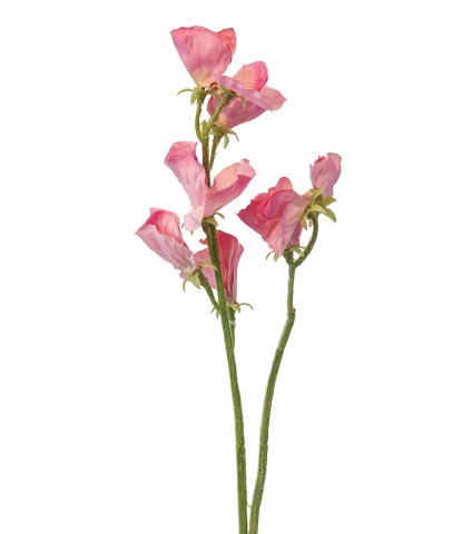 Pois de senteur artificiel rose