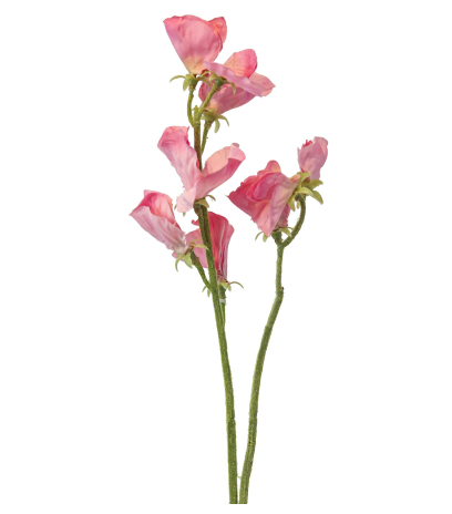Pois de senteur artificiel rose