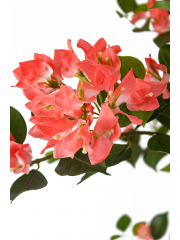 Bougainvillier artificiel saumon