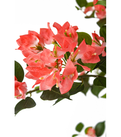 Bougainvillier artificiel saumon