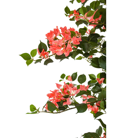 Bougainvillier artificiel saumon