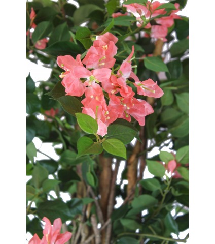 Bougainvillier artificiel saumon