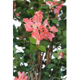 Bougainvillier artificiel saumon