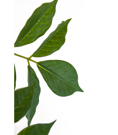 Rameau de glycine artificielle parme