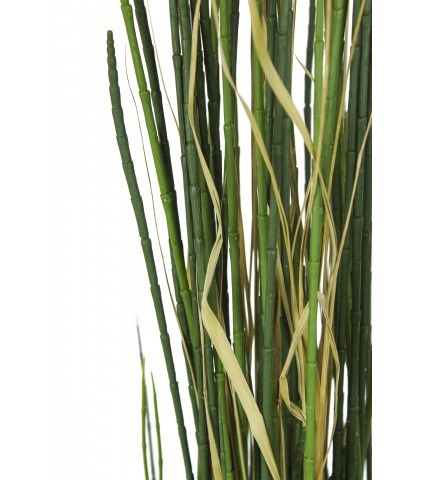 Prêle des champs artificielle