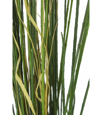 Prêle des champs artificielle