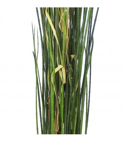 Prêle des champs artificielle