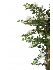 Bougainvillier artificiel blanc