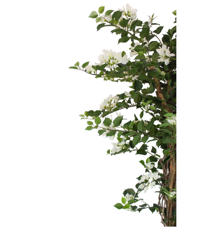 Bougainvillier artificiel blanc