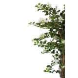 Bougainvillier artificiel blanc