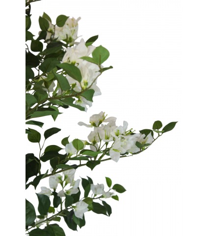 Bougainvillier artificiel blanc