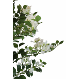 Bougainvillier artificiel blanc