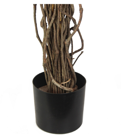 Pot