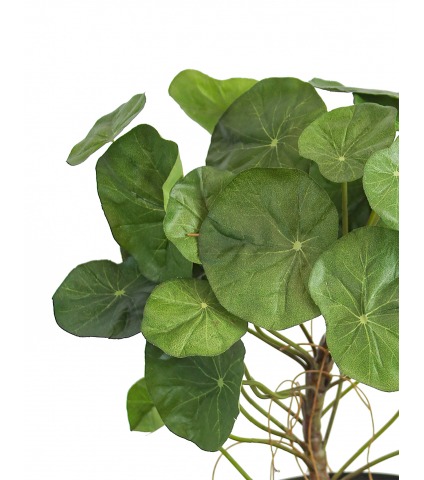 Capucine artificielle