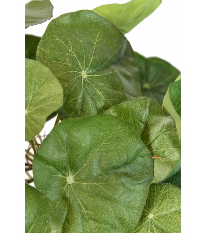 Capucine artificielle