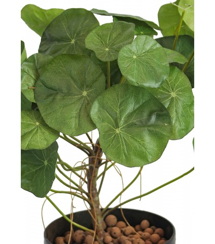 Capucine artificielle