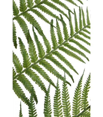 Feuille de fougère géante artificielle