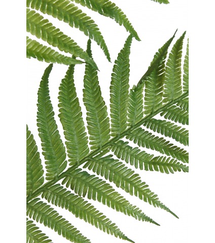 Feuille de fougère géante artificielle