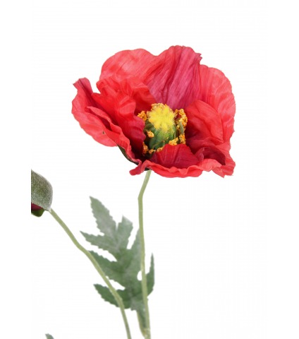 Coquelicot artificiel rouge