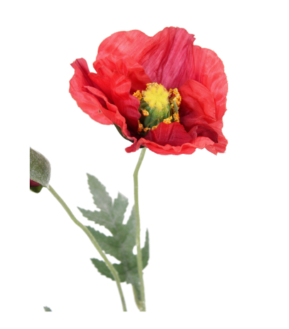 Coquelicot artificiel rouge