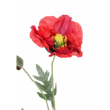 Coquelicot artificiel rouge