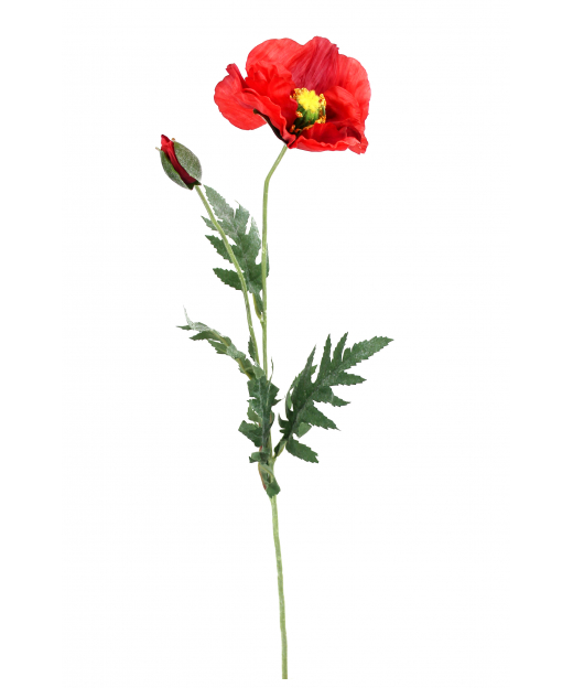 Coquelicot artificiel rouge