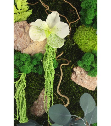 Tableau végétal stabilisé Caen