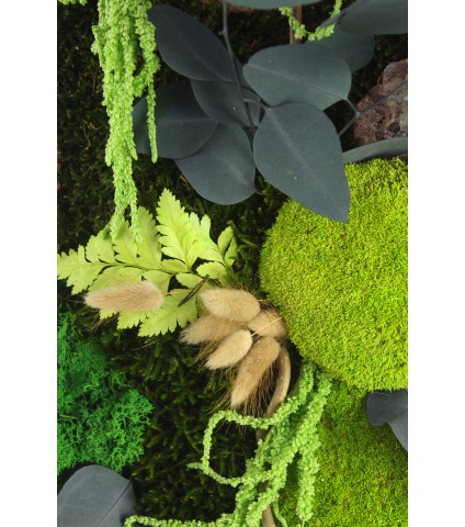 Tableau végétal stabilisé Caen