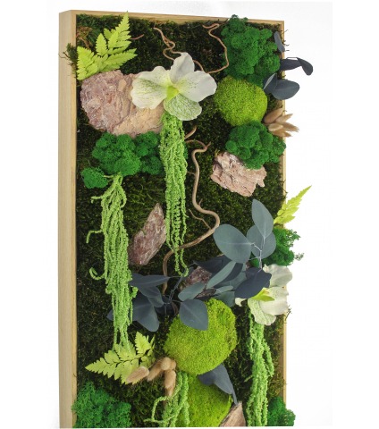 Tableau végétal stabilisé Caen