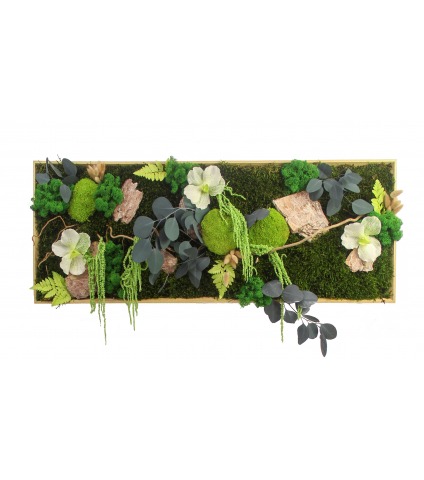 Tableau végétal stabilisé Caen