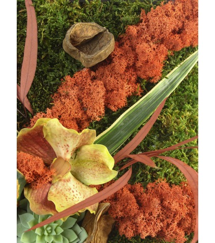 Cadre de mousse végétale Fécamp