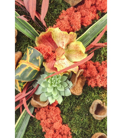 Cadre de mousse végétale Fécamp