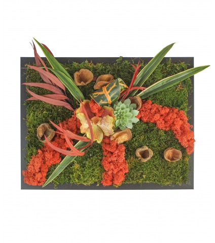 Cadre de mousse végétale Fécamp