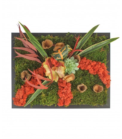 Cadre de mousse végétale Fécamp