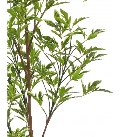 Schefflera elegantissima artificiel