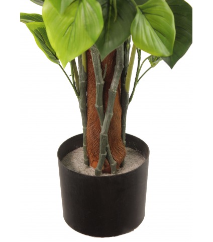 Pot