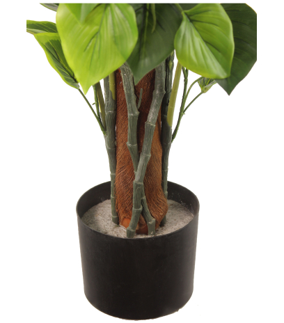 Pot