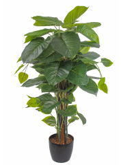 Pothos grimpant artificiel