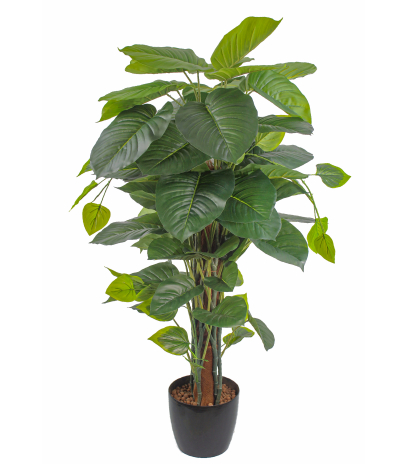 Pothos grimpant artificiel