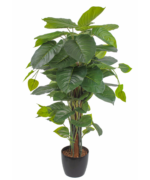 Pothos grimpant artificiel