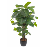 Pothos grimpant artificiel