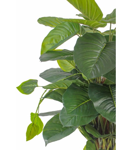 Pothos grimpant artificiel
