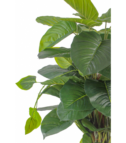Pothos grimpant artificiel