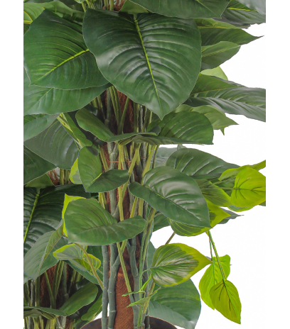 Pothos grimpant artificiel