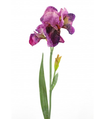 Iris artificiel fuchsia
