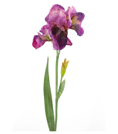 Iris artificiel fuchsia