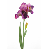 Iris artificiel fuchsia