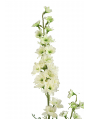 Delphinium artificiel blanc