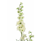 Delphinium artificiel blanc